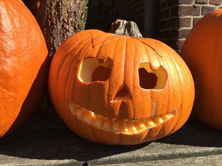 pumpkin-halloween-children
